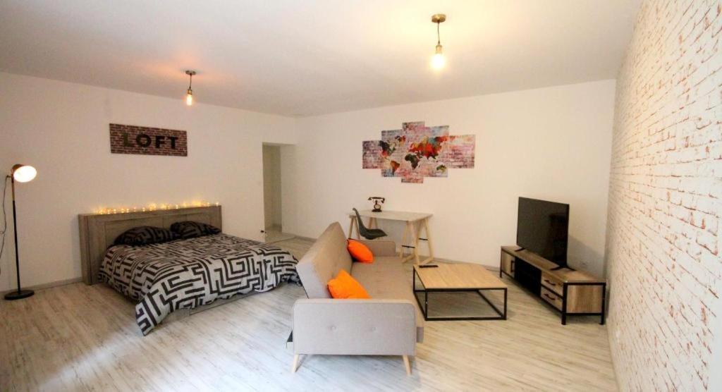 Appartements Baron Bouvier 沃苏勒 外观 照片