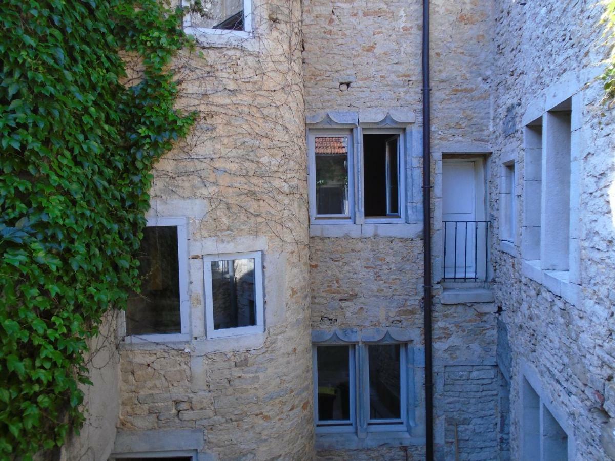 Appartements Baron Bouvier 沃苏勒 外观 照片